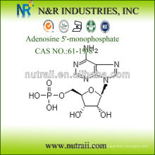 Adénosine 5&#39;-monophosphate